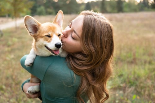 Barketing 101: Crafting a Successful Marketing Strategy for Your Dog Daycare