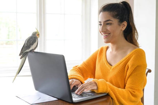 A woman uses a laptop as a bird is perched on it