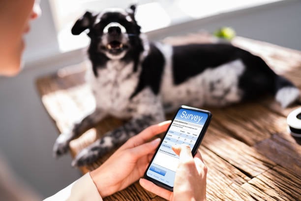 The Power of Reviews: Building Trust for Your Pet-Care Business