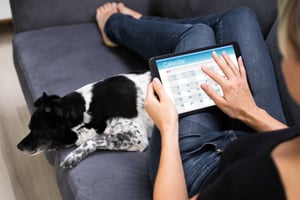 Pet-Care Business Social Media Marketing: A Crash Course