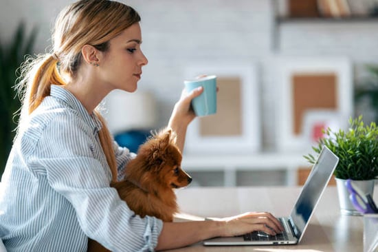 A woman uses a laptop as a dog sits on her lap
