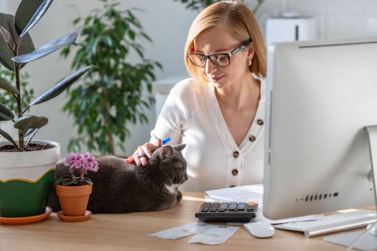 A woman pets a cat while sitting in front of a computer
