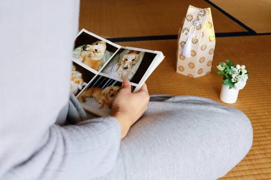 woman looking at photo album of dog