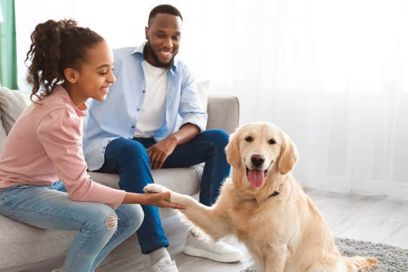 A young girl holds a Golden Retriever's paw as her dad sits next to her