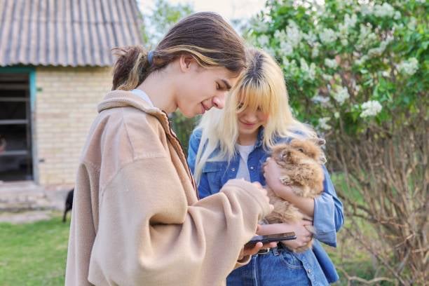 two people holding a smartphone and fluffy rabbit