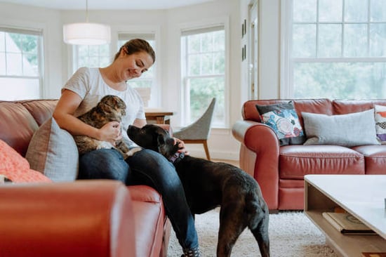 A woman pets a dog and cat