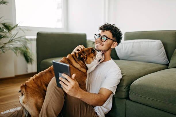 Unleashing Success: Advertising Tips for New Pet Businesses with Revelation Pets