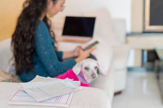 woman on laptop with dog surrounded by invoices and pet business finance documents