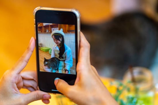 young woman at a cat cafe getting her photo taken with a kitty