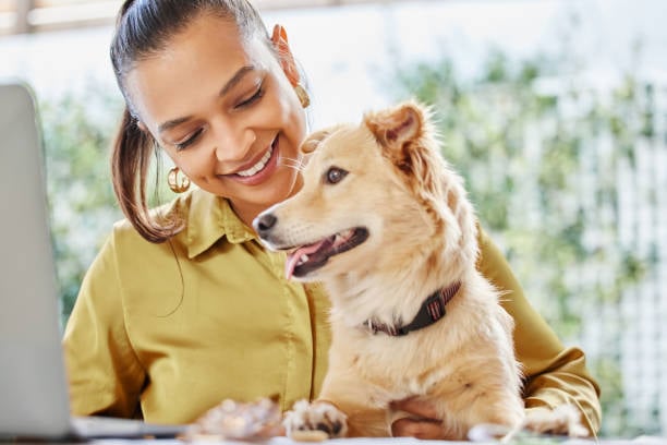 New Beginnings: New Year's Resolutions for Dog Care Businesses