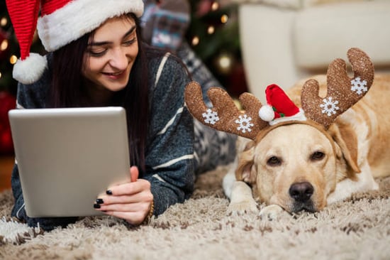 kennel owner looking after the well being of a dog at Christmas