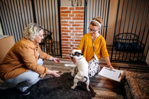 Behavioral Issues: Tips for Dog Daycares