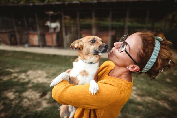 Behavioral Issues: Tips for Dog Daycares
