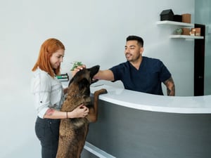 The benefits of using an all-in-one pet-care management and payment processing solution
