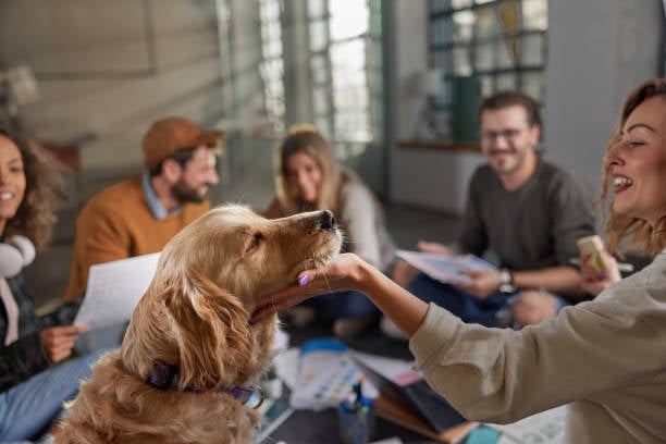 Training Your Staff for Success in Pet Care 