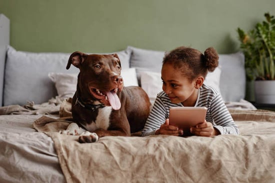Dog and kid sit on bed together