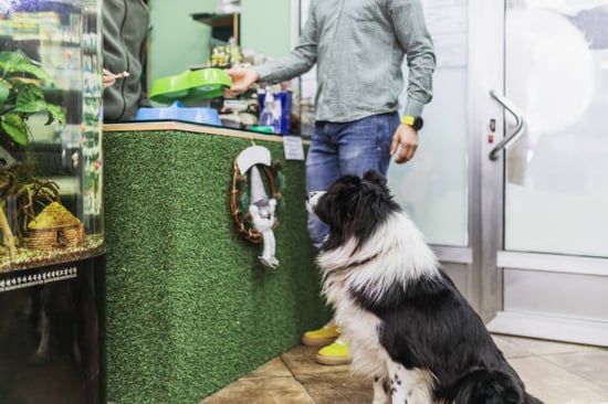 pet business upselling during the busy season