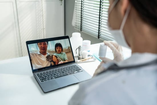 father and child with cat seeing vet during virtual visit