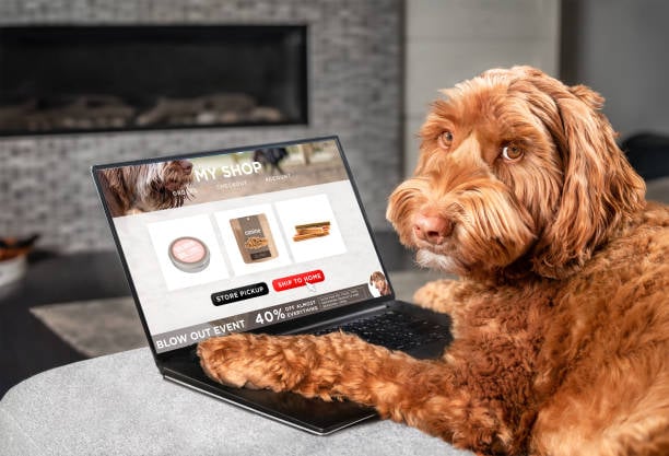 Tail-Wagging Marketing Strategies for Your Pet-Care Business