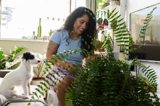 A woman cares for a plant inside
