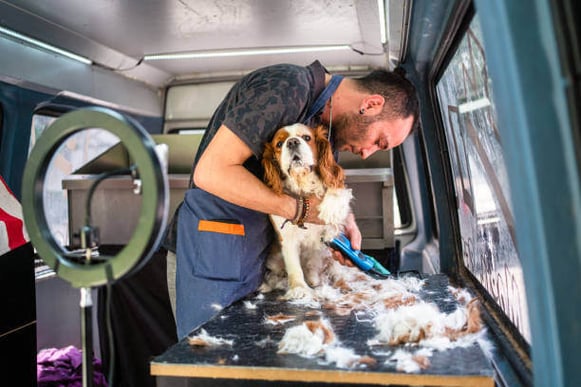 A man grooms a dog in a mobile grooming van.