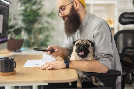 man with pug taking photo of pet business data