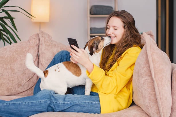 Leveraging Social Media for Effective Dog Boarding Promotions
