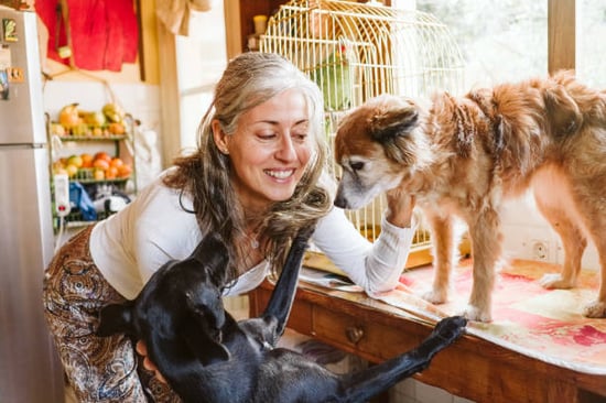 dog daycare owner with pups