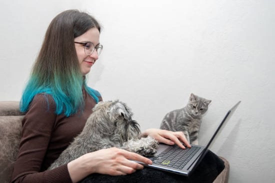 woman with cat and dog working on laptop for certification