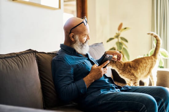 A person pets a cat while using their phone