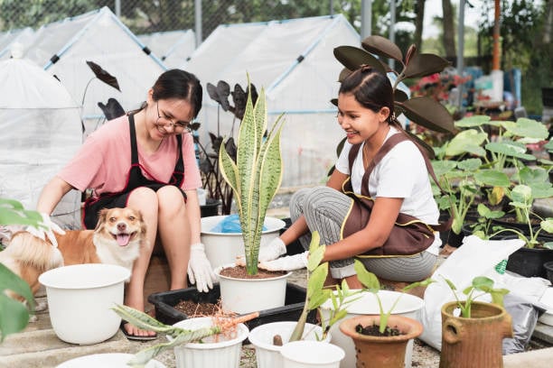 two women potting plants for a pet-care business lobby with a smiling dog