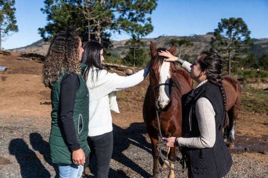 animal behavioralist talking to a horse parent about caring for her pet
