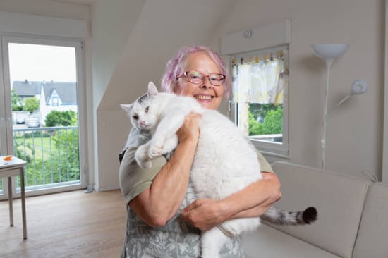 small business cattery owner holding big cat