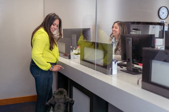bank teller and dog lover at the financial institution 