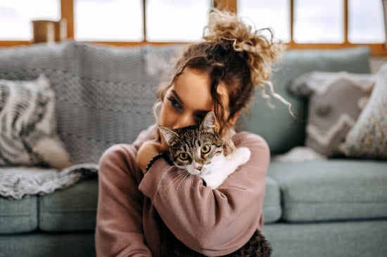 pet parent snuggling a cat in living room