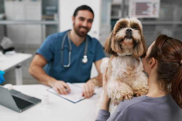 A woman picks up her dog from a pet-care business as a staff member stands behind a desk in front of them