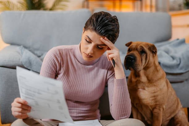 Navigating Economic Challenges in the Pet Industry