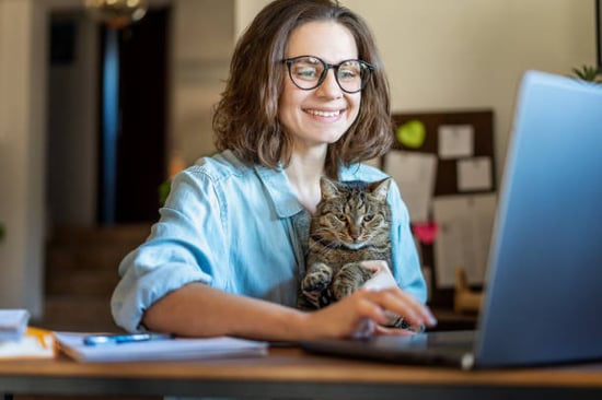 cattery owner running reports with a laptop and cat