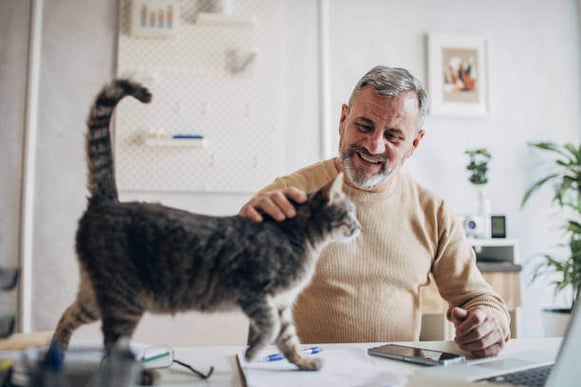 A man pets a cat while sitting at his desk