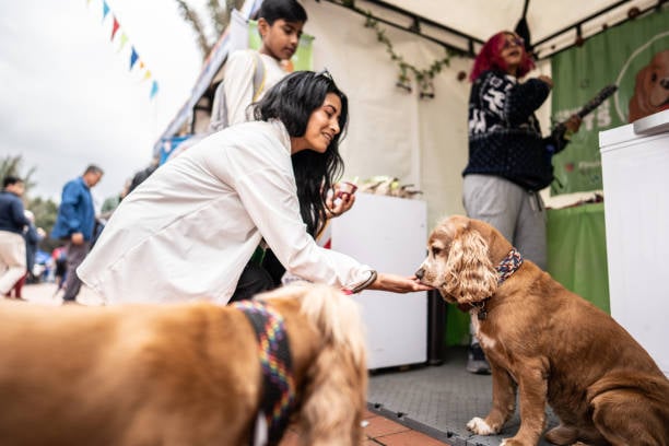 The Power of Collaboration Among Local Pet Businesses