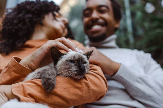 Two people smile while holding a cat