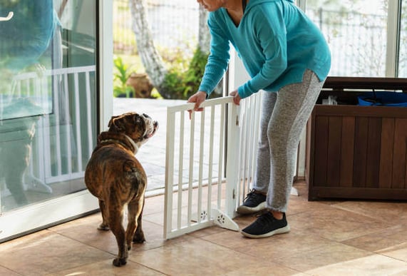 A dog walks through an open baby gate inside a home