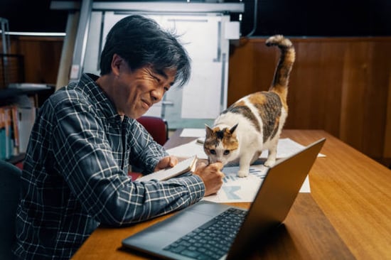 man smiling at desk with cat and computer