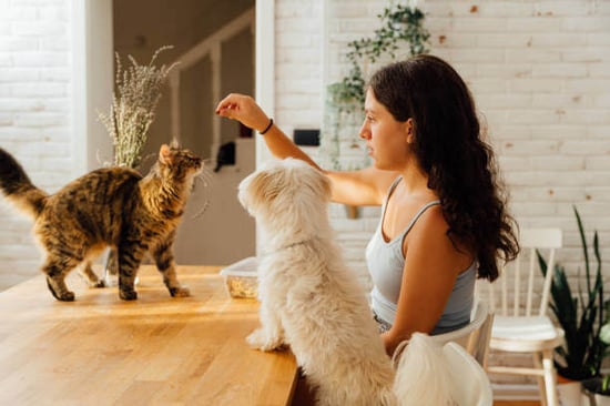 A woman sits with her dog and cat