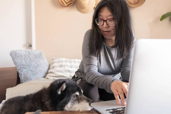 pet business owner on laptop with dog reviewing finances