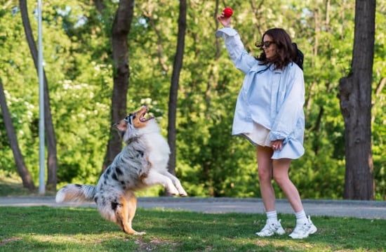 A woman plays fetch with a dog
