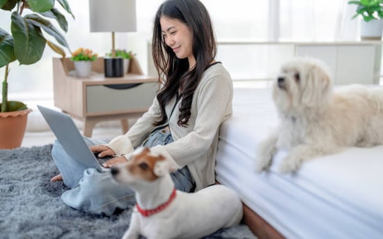 kennel owner on laptop doing reporting with dogs by her side