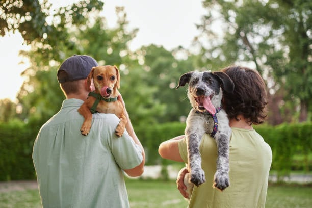 Training Your Staff for Success in Pet Care 