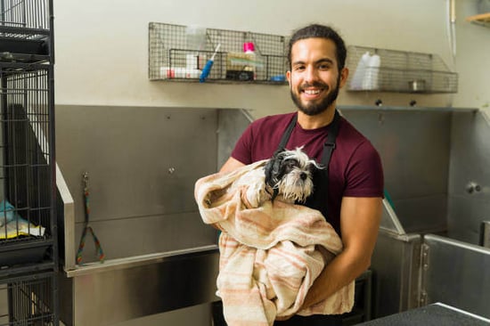 Male pet groomer