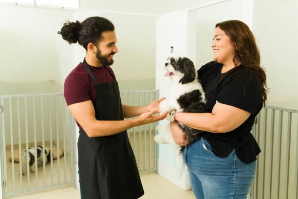 Cost-Efficient Practices in Dog Boarding
